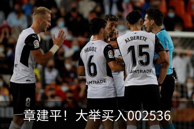 章建平!大举买入002536